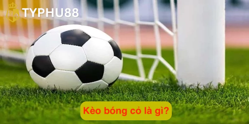 Keo bong co la gi Goi y kinh nghiem choi keo bong co dung nhat