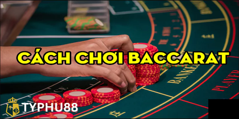 Luật chơi Baccarat Typhu88 cơ bản cho người mới