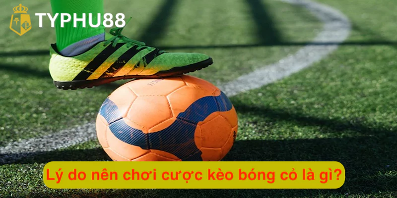 Lý do nên chơi cược kèo bóng cỏ là gì?