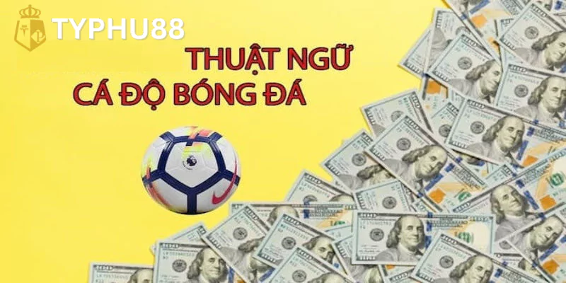 Tổng hợp những thuật ngữ cá độ bóng đá thường gặp nhất hiện nay