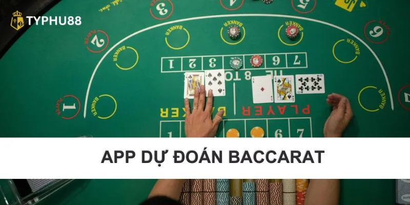 App dự đoán baccarat được nhiều người lựa chọn