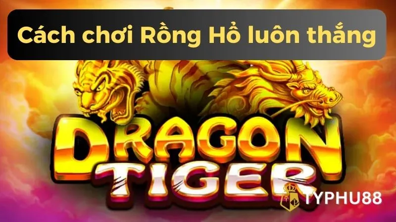 Bật mí 6 cách chơi rồng hổ luôn thắng của cao thủ