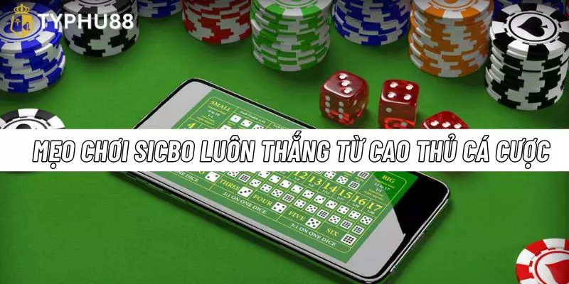 Typhu88 chia sẻ mẹo chơi sicbo luôn thắng từ chuyên gia cá cược hàng đầu hiện nay